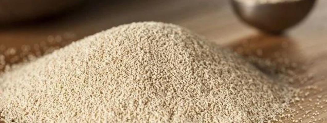 LET’S GET A LITTLE NERDY: INGREDIENT SERIES - YEAST BETA-GLUCAN