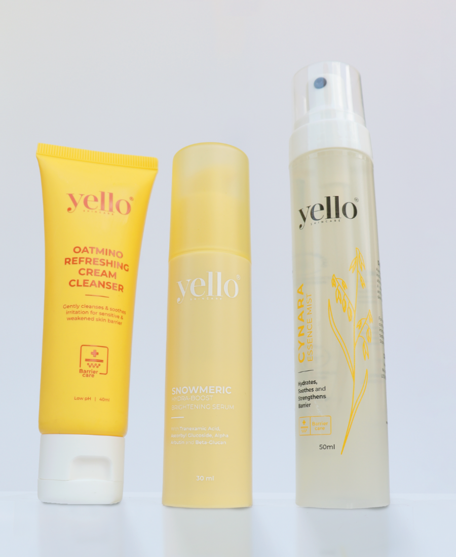 Snowmeric Open House Bundle (Buy 1 Free 2)